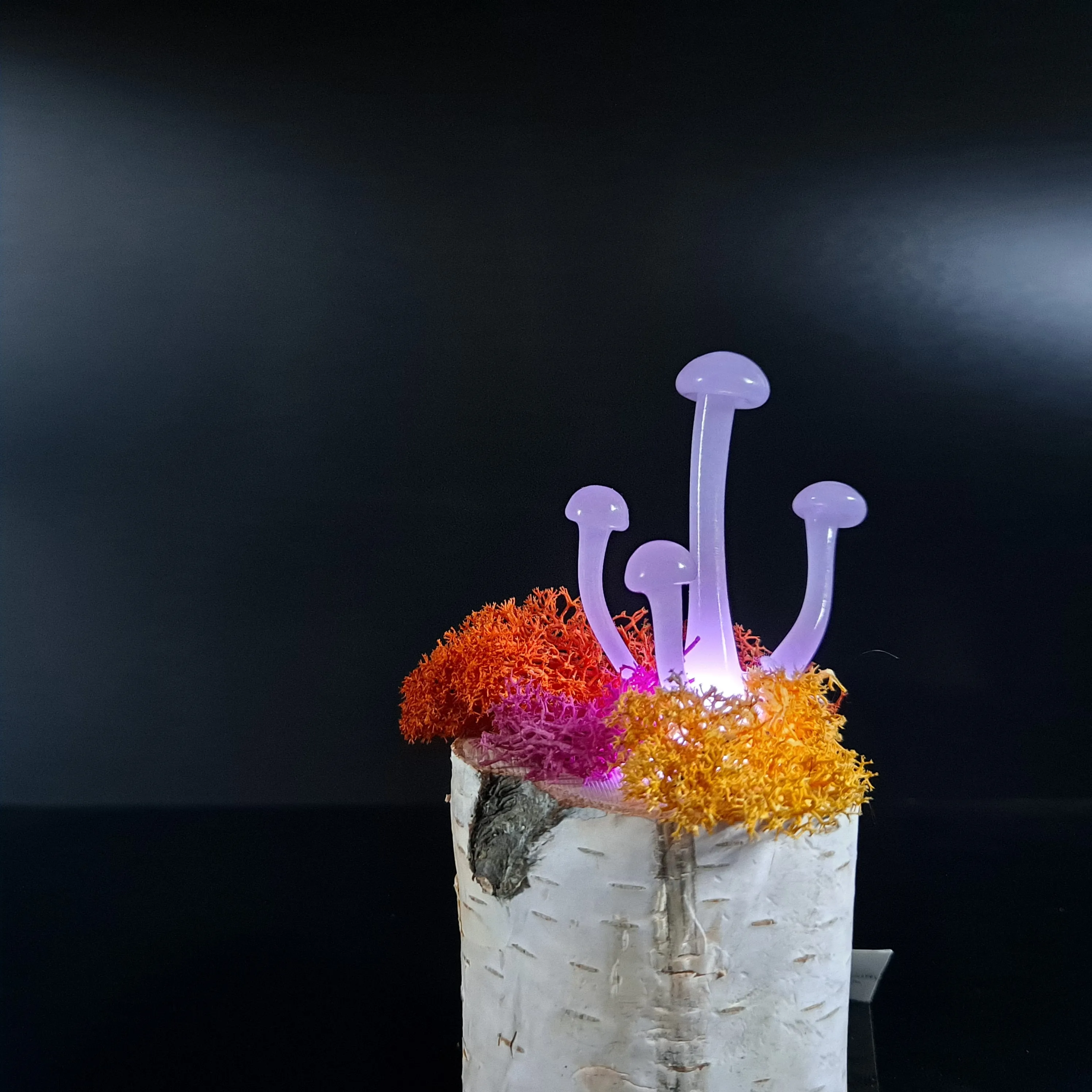 Mushroom Sculptures, Color Changing Night Lights