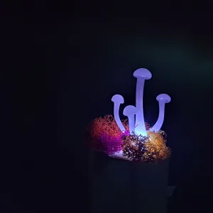 Mushroom Sculptures, Color Changing Night Lights